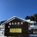 모든렌탈 | 스키 보드 대여의 모든 것, 무주스키샵&amp;렌탈샵 스키월드 탐방 후기