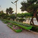 전주북초등학교 이미지