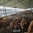 중우농장 이미지