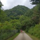 심적유원지 이미지