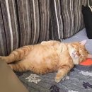 지구별여행자 이미지