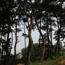 민들레연극마을 이미지