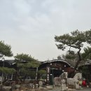 대대손손묵집 | 포천 맛집 │ 담백한 도토리 요리의 정석, 대대손손묵집 본점 솔직 후기