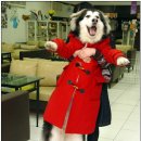 허숙희네 이미지