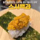 스시백과 이미지
