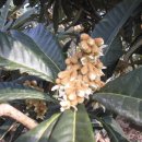 체신농장 이미지