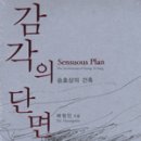 감각의 단면