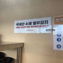 보령종합알뜰매장 | 보령 명천동 칼국수 맛집 제주곤이칼국수 보령점 보쌈정식 후기