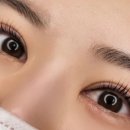 클라라아이래쉬