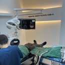 서울금빛치과의원 이미지