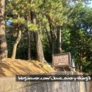 창원 가음정동 고분군 이미지