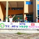 조팝꽃피는마을 이미지