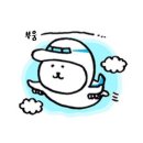 쏠트래블 이미지
