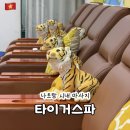 나트랑 시내 마사지 타이거스파 스파 가격 할인 발마사지 후기
