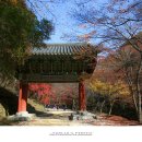 강천산군립공원(강천사) 이미지