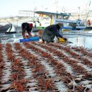 중부-현장-중부-782 이미지