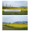 낙동강관리본부 대저생태공원 1 이미지