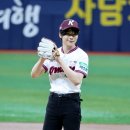 원