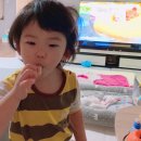 무료임신축하박스 베베쿡 핑크박스 당첨 후기 / 구성품 및 신청방법!