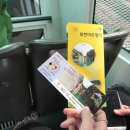 씨유 포천신북점/공간낚시 | 요즘핫한 아트밸리와 허브아일랜드로 포천여행 다녀왔어요