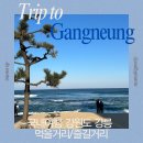 독도반점(본점) | 강원도 1박2일 강릉여행 먹을거리 (풍자 또간집 장안횟집과 맛집) 구경거리