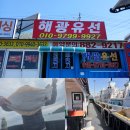 인천배낚시 체험 해광유선 인천 바다 광어 낚시 리얼 후기