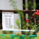 예치민박 이미지