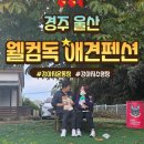 경주 울산 개별 운동장 웰컴독 애견 펜션