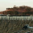 성대농장 이미지