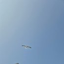 부산여행특공대 - 동구 중앙대로180번길 9 | 부산여행특공대