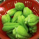 박정자농장 이미지