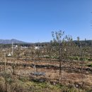 북부노인회관 앞 이미지