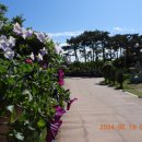 구리시민공원 매점 이미지