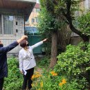 화곡본동시장 이미지