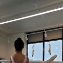 라인핏발레학원 네이버블로그