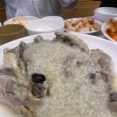 꽃댕댕싸롱 이미지