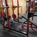 스쿼트게러지 이미지