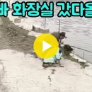 내가할개 이미지