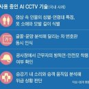 교통위반 사흘간 300건 잡았다… 섬뜩한 이 CCTV 이미지