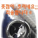 대동카클리닉 이미지