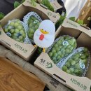 단북애청년 | 양천파리공원 농부의시장 단부기