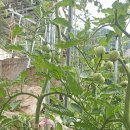 몽실하우스 이미지