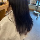 오페라 미용실 | 잠실 미용실 크레이머헤어살롱오페라 후기 #머릿결대박 #필러 #클리닉