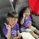 🩷다이소+감자캐기+단오🩷 이미지