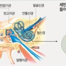 내이처럼 Daum카페