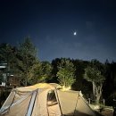 버드나무캠핑장 이미지