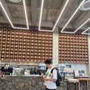 e바다 | 강원도 양양 바다가보이는 카페 P.E.I coffee 내돈내산 솔직후기