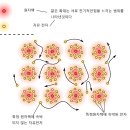 자유전자 - 동구 조방로 48 | 자유전자