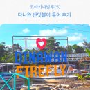 반딧불이 | 다나완 반딧불이 투어 후기 (무료 시티투어와 맹그로브 노을까지)
