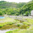 수빈이네 펜션 이미지